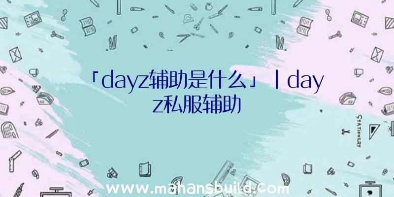 「dayz辅助是什么」|dayz私服辅助